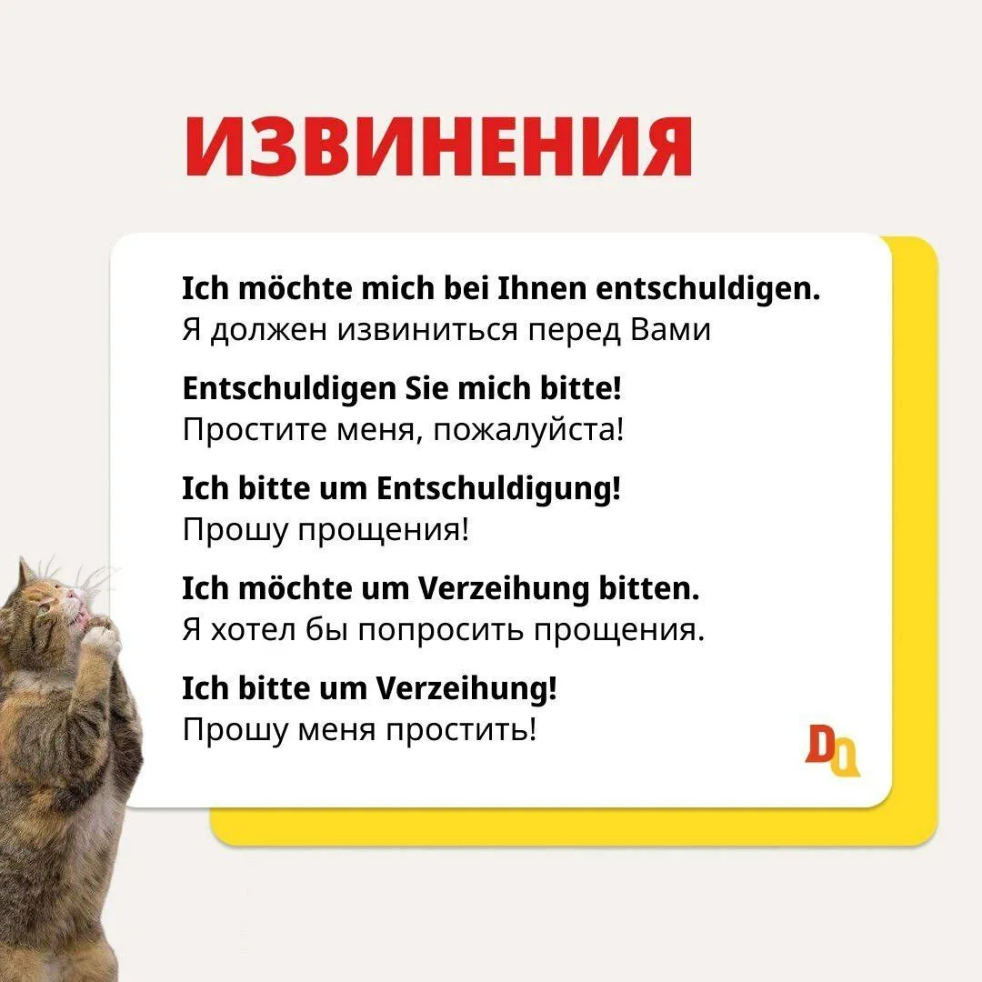 Извиняемся на немецком 🤭