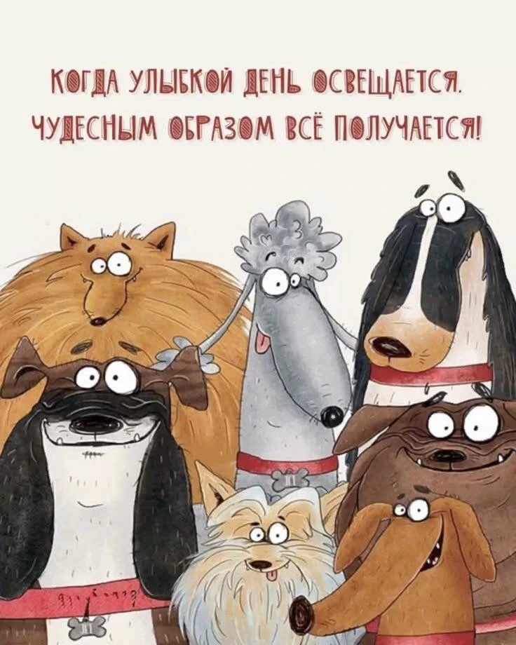 #ДляНастроения 😉