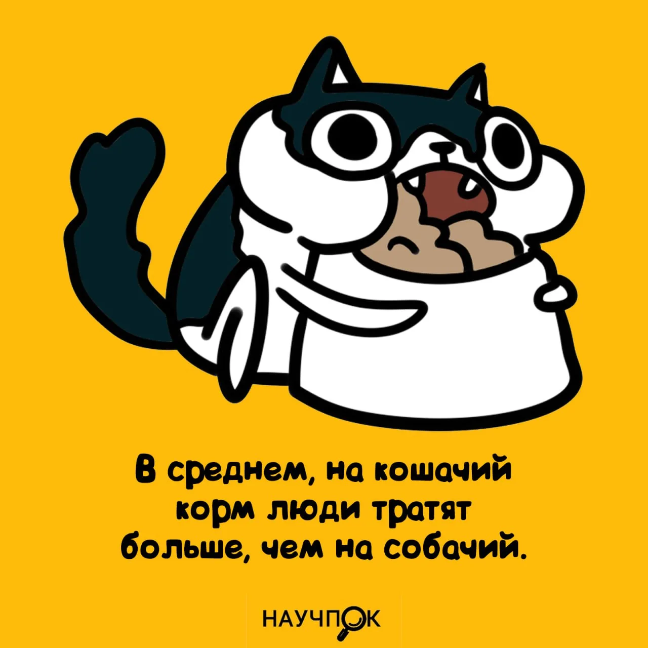 Научпок | Подписаться