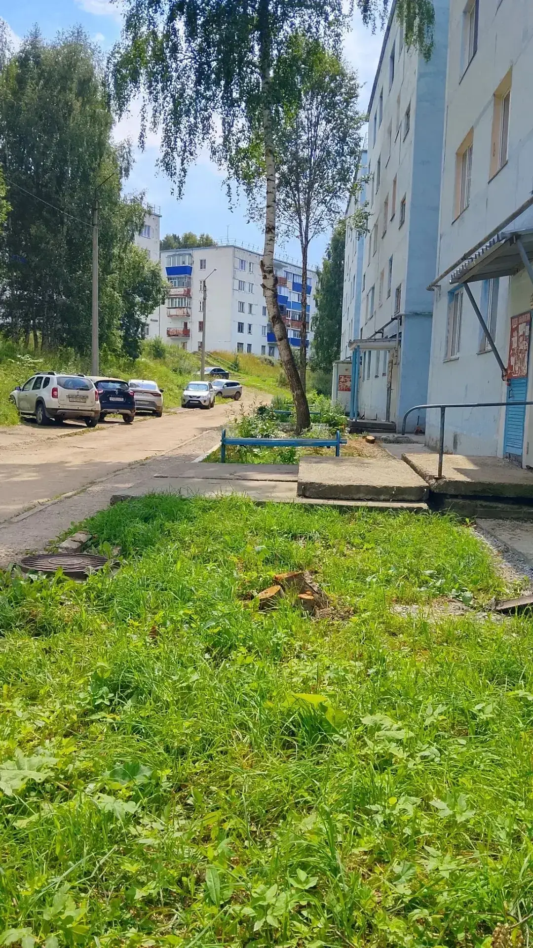 🌳 Управляющая компания ООО «Уралпромстрой» выполнила санитарную обрезку и спил деревье...