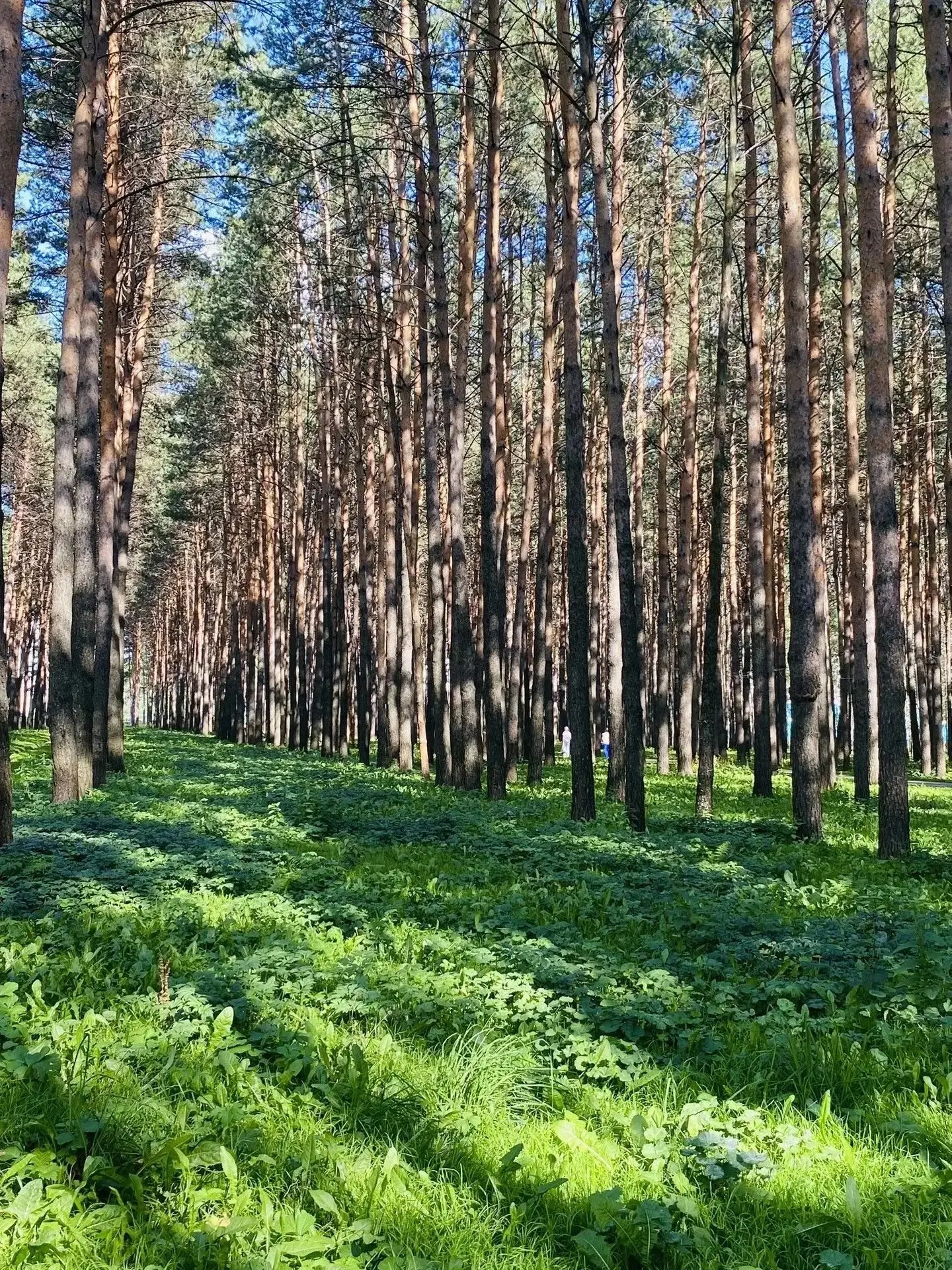 Продолжает наш фотоконкурс "Живая планета" Вагенлейтнер Александра 5г