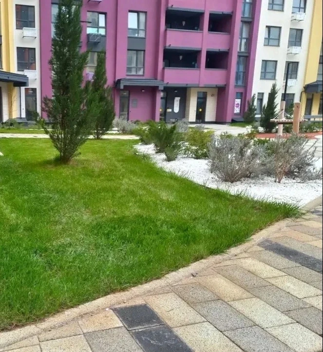 🌿 ВНУТРИ ДВОРА: ПОРЯДОК И УЮТ