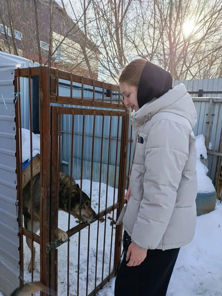 Посещение приюта для собак "Ковчег"  Ребята 11э класса недавно посетили приют для собак "Ковчег", ос