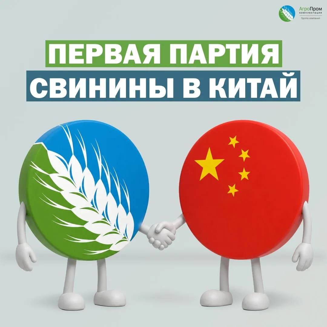 Первая партия свинины Агропромкомплектации отправилась в Китай!