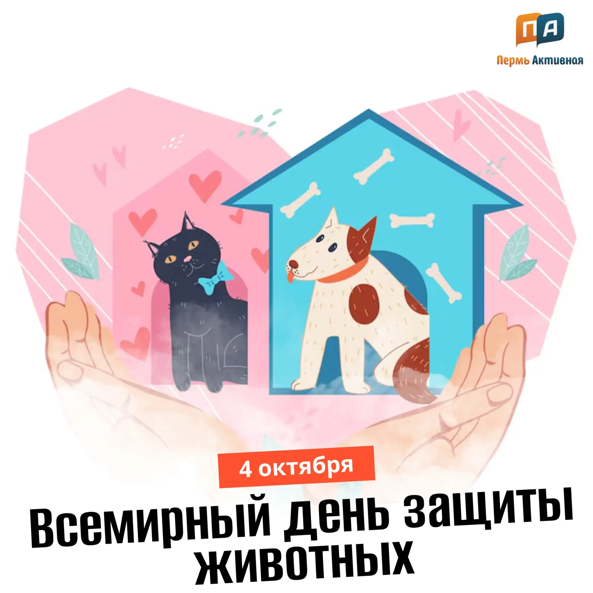 Доброе утро, Пермь. Погода на сегодня: +2°...+4°. Дождь со снегом.
