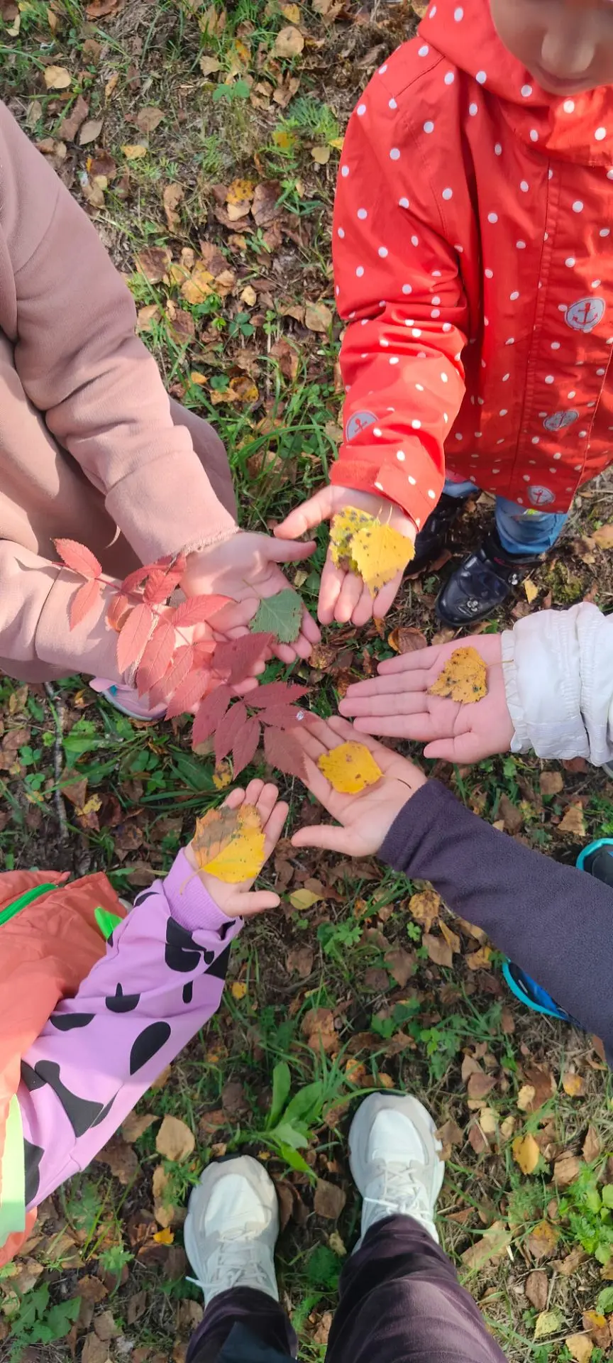 «Сентябрьский день удался на славу 🍁🌼 Сегодня мы гуляли всей группой: собирали яркие ...