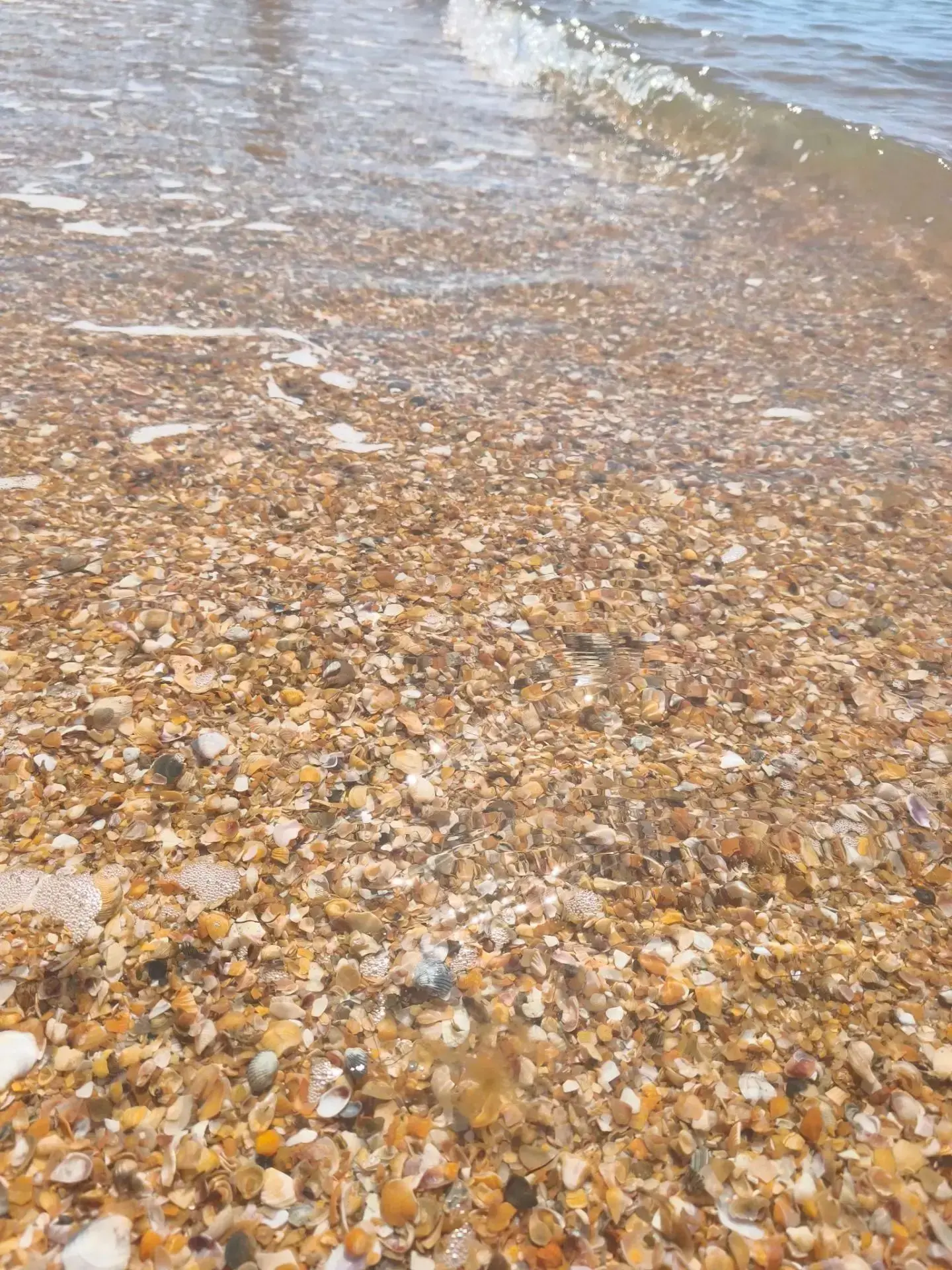 Друзья, едем в воскресенье на Бугазскую косу, море чистейшее, пляж полностью оборудован...