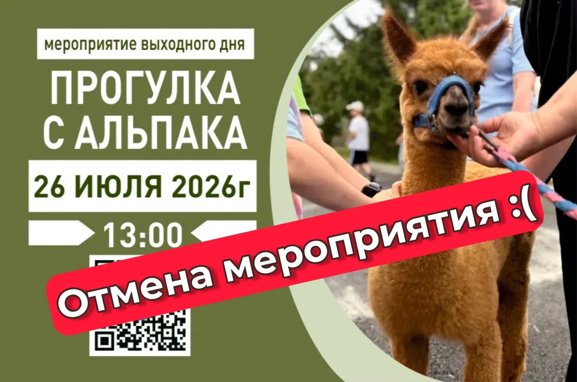 Дорогие друзья!
К сожалению, должны сообщить, что прогулка с альпака в это воскресенье отменяется😔
