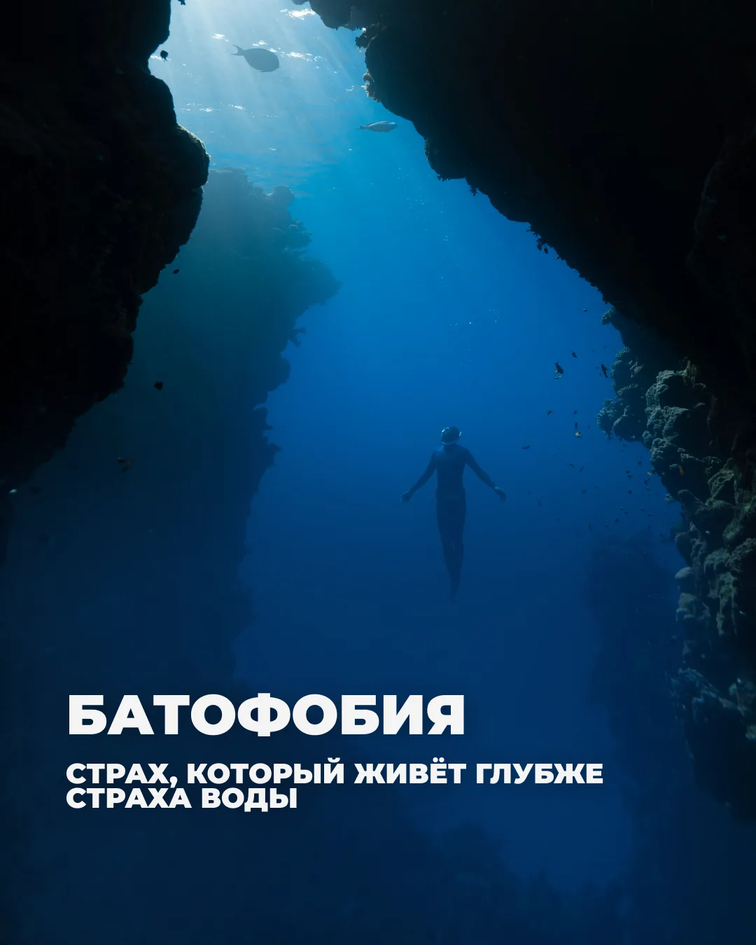 Батофобия — это не слабость и не «просто страх». Это тело, которое один раз решило, что...