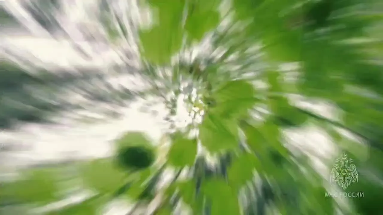 🌳 Собираешься в лес? Не забывай о безопасности!