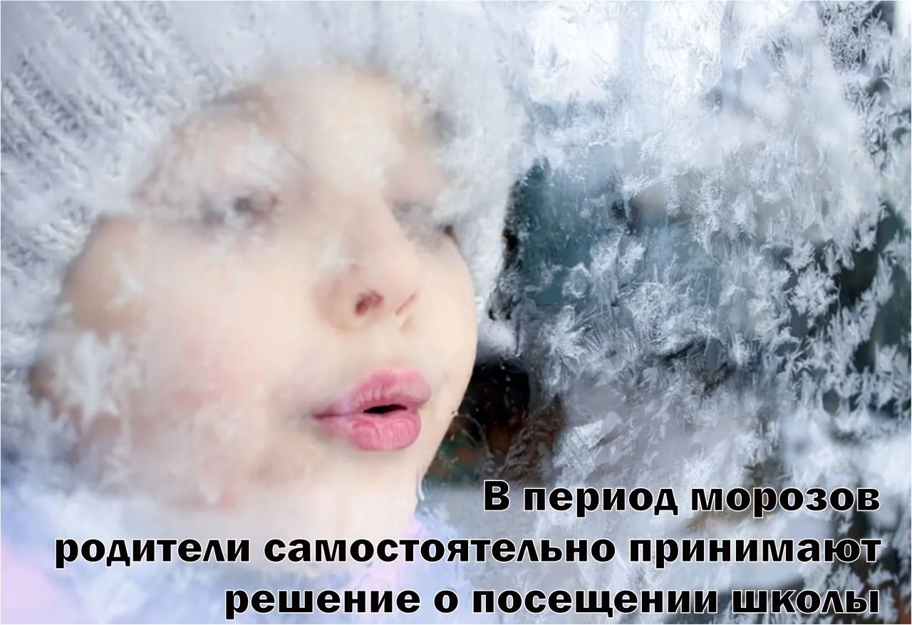 Учебный процесс в школах продолжается в привычном режиме, несмотря на морозы. Напоминаем, что ученик