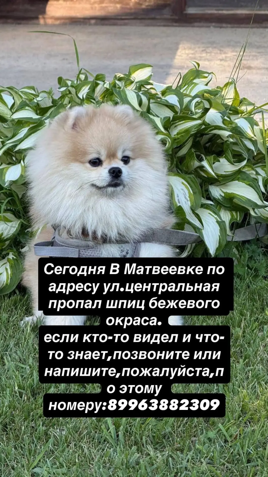 #moygorod_khvстолнаходок