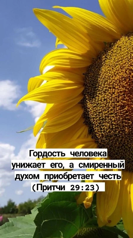 «Гордость человека унижает его, а смиренный духом приобретает честь»