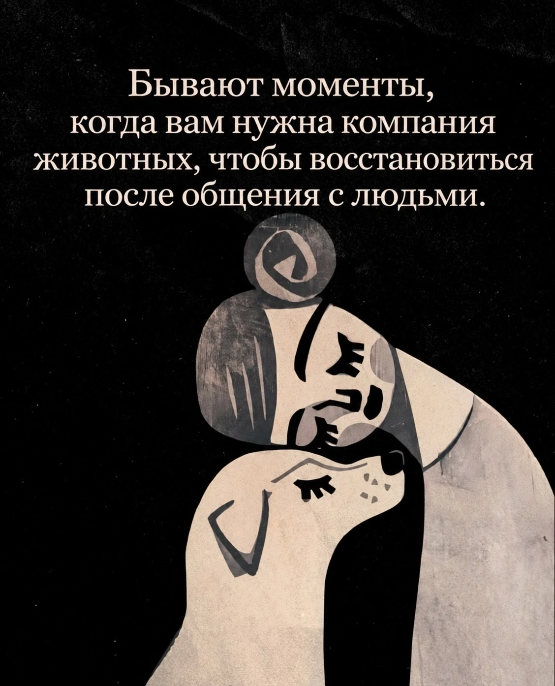 Приезжайте к нам на хаски-терапию 🤗