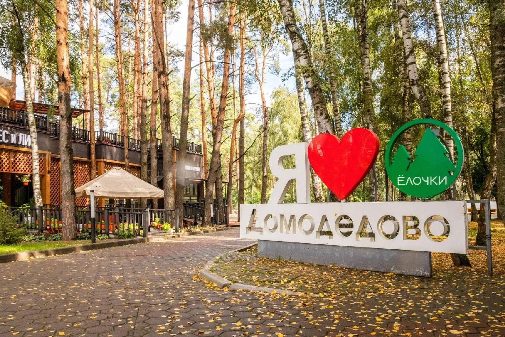 Парк «Ёлочки» — в десятке лучших в Подмосковье! 🥳