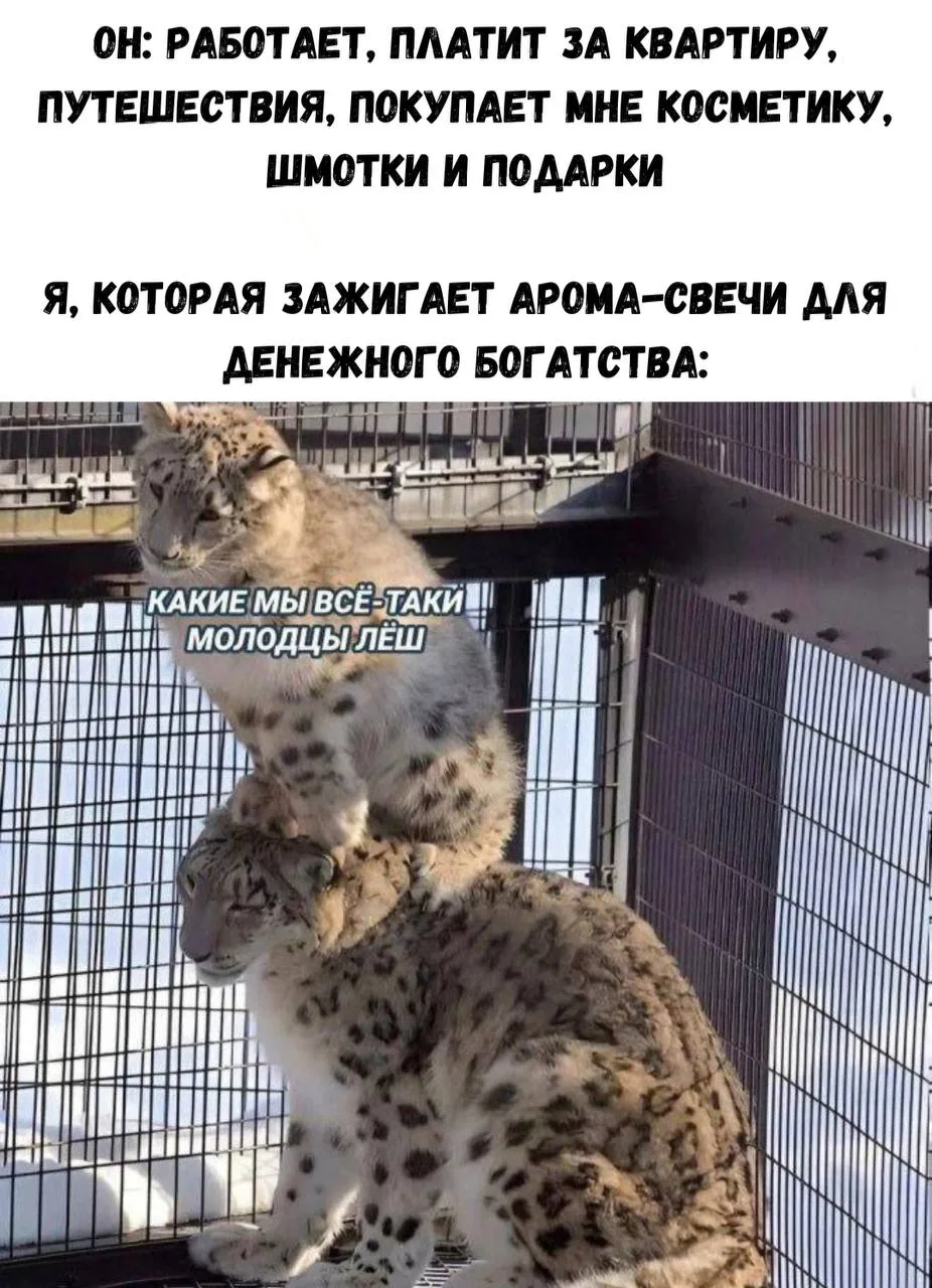 🌍 Волшебная Планета | Подписаться

✍️ Наш чат для поболтать