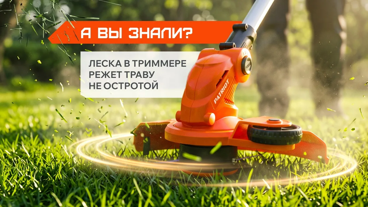 А вы знали?