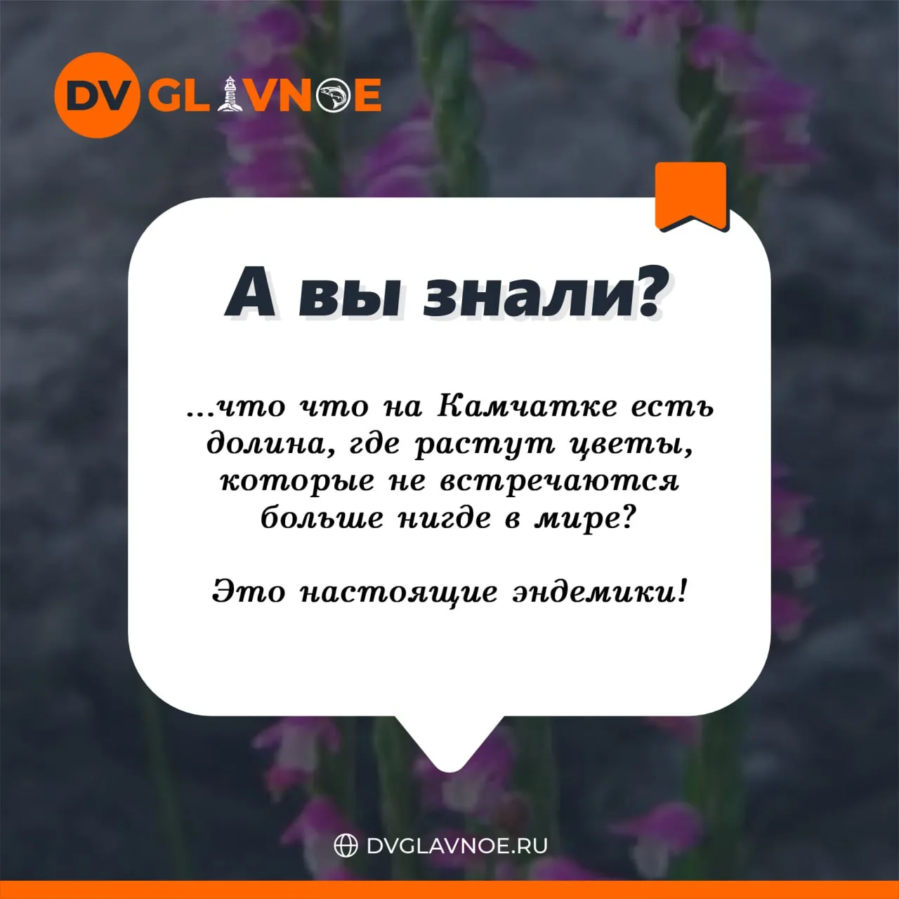 А Вы знали? 🤓
