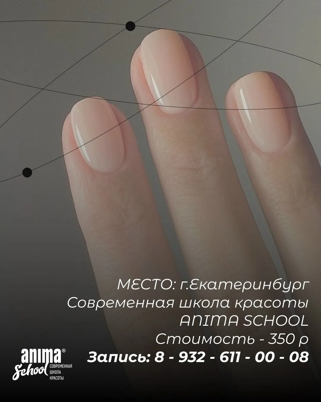 Мы в поиске моделей