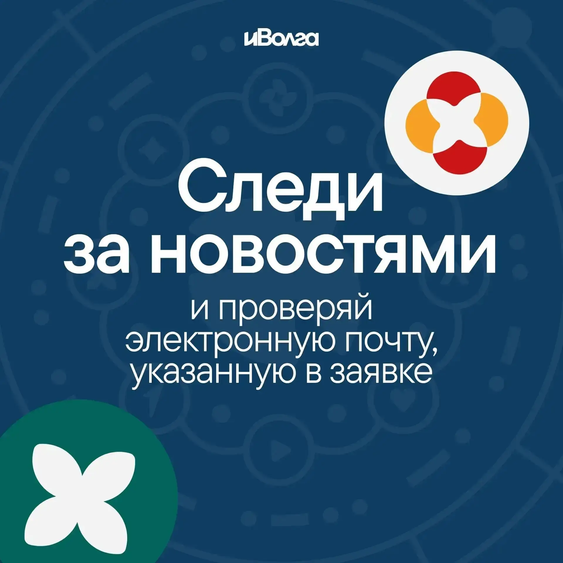 Вот это «иВолга» развернулась!