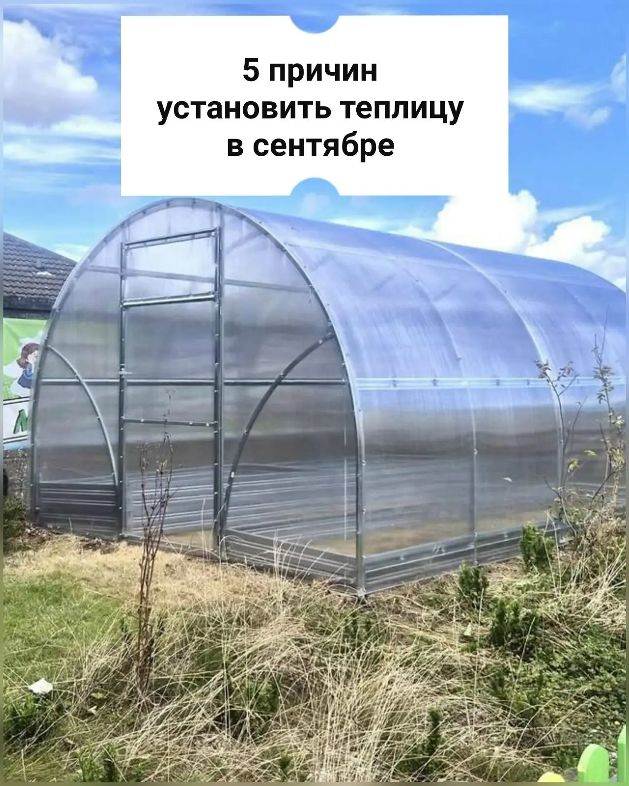 Если вы читаете этот пост, значит, вам очень нужна новая теплица