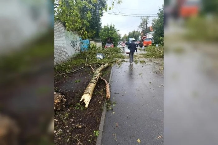 В Нижнем Новгороде смерч сорвал крышу и повалил деревья