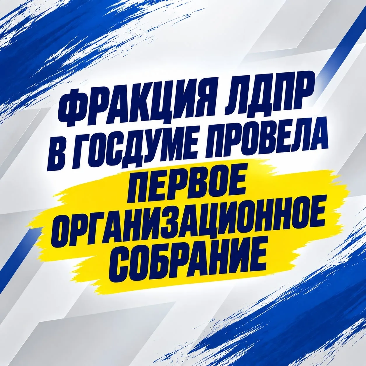 🇷🇺 Фракция ЛДПР в ГД провела первое организационное собрание