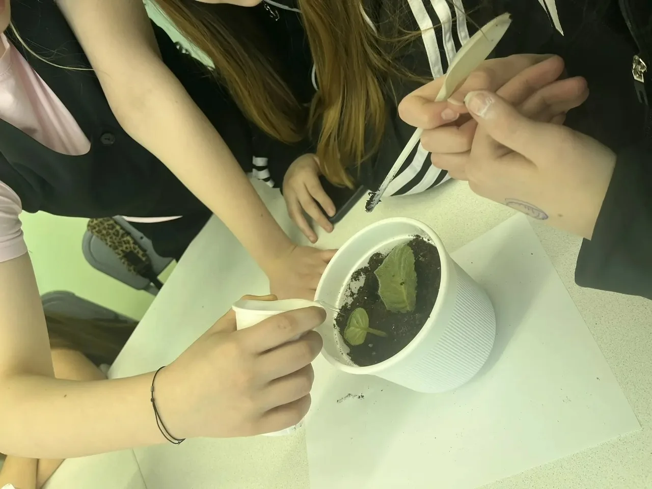 🌿 «Зелёный класс: память в каждом ростке»  В рамках Всероссийской акции «Сад памяти» в нашем центре 
