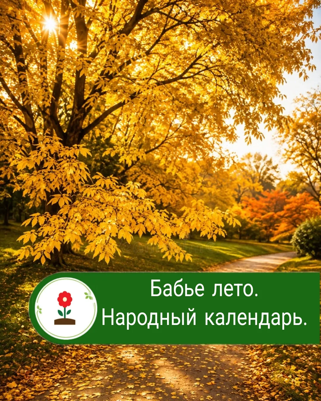 🍂 Бабье лето в «Усадьбе»: тепло, уют и народная мудрость!