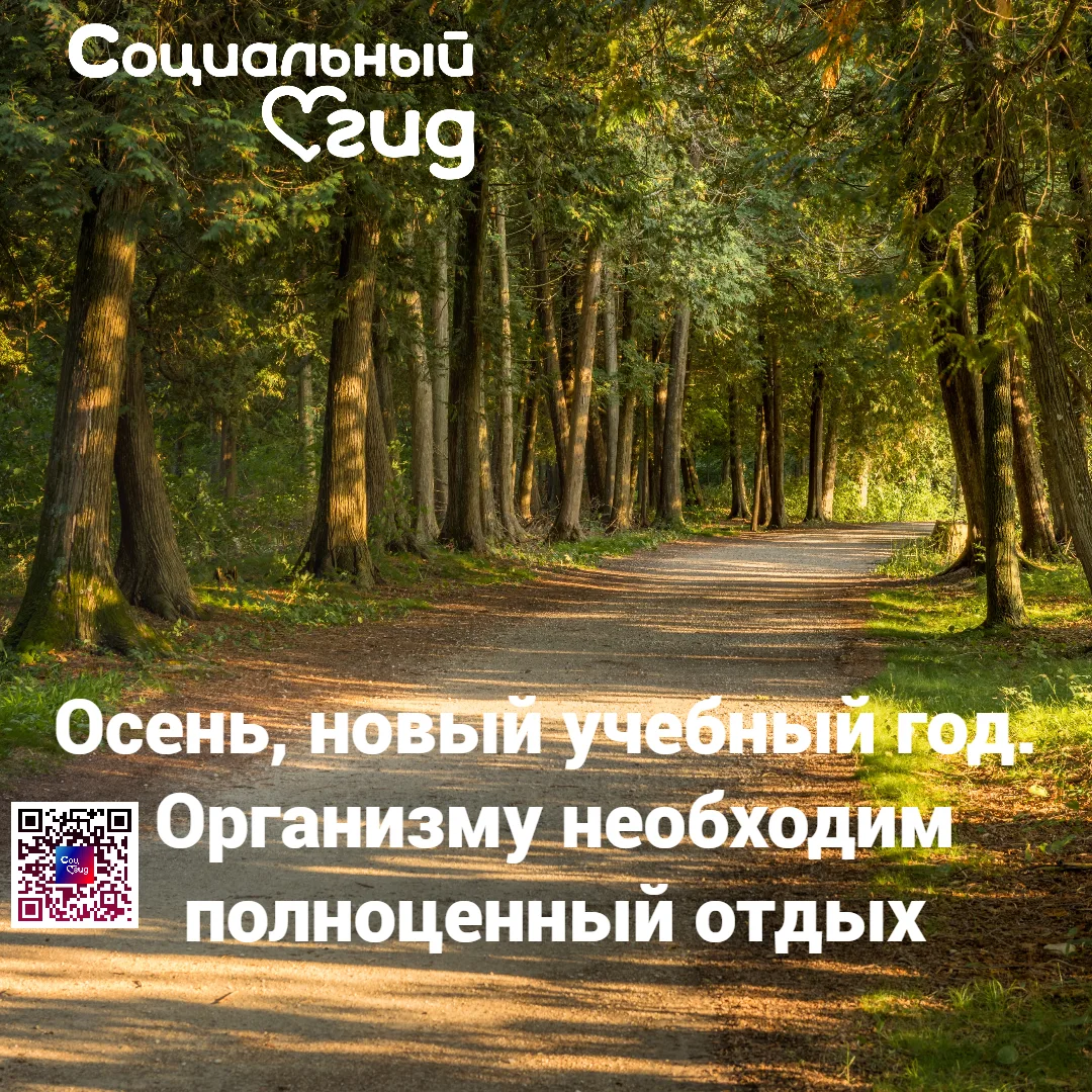 Сон - лучший помощник для организма