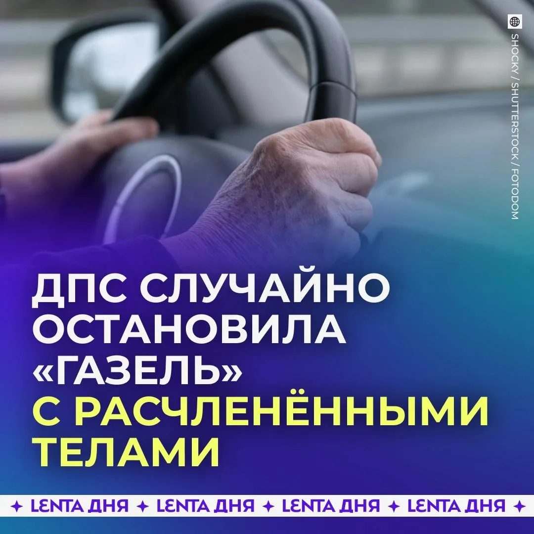 😱 Сотрудники ДПС случайно остановили «Газель» с расчленёнными телами.