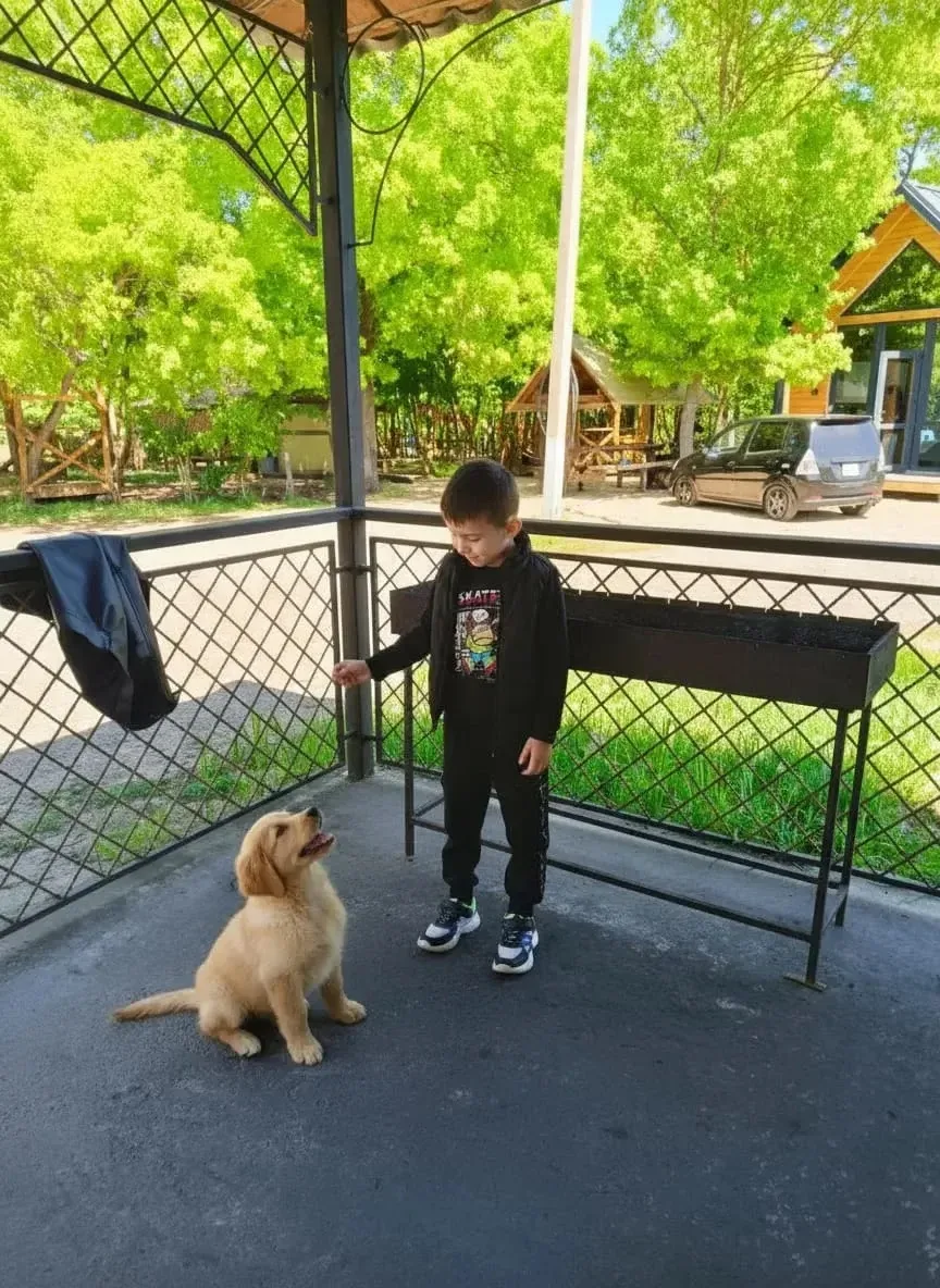 🐾 Забота о меньших — это забота о тех, кто рядом!