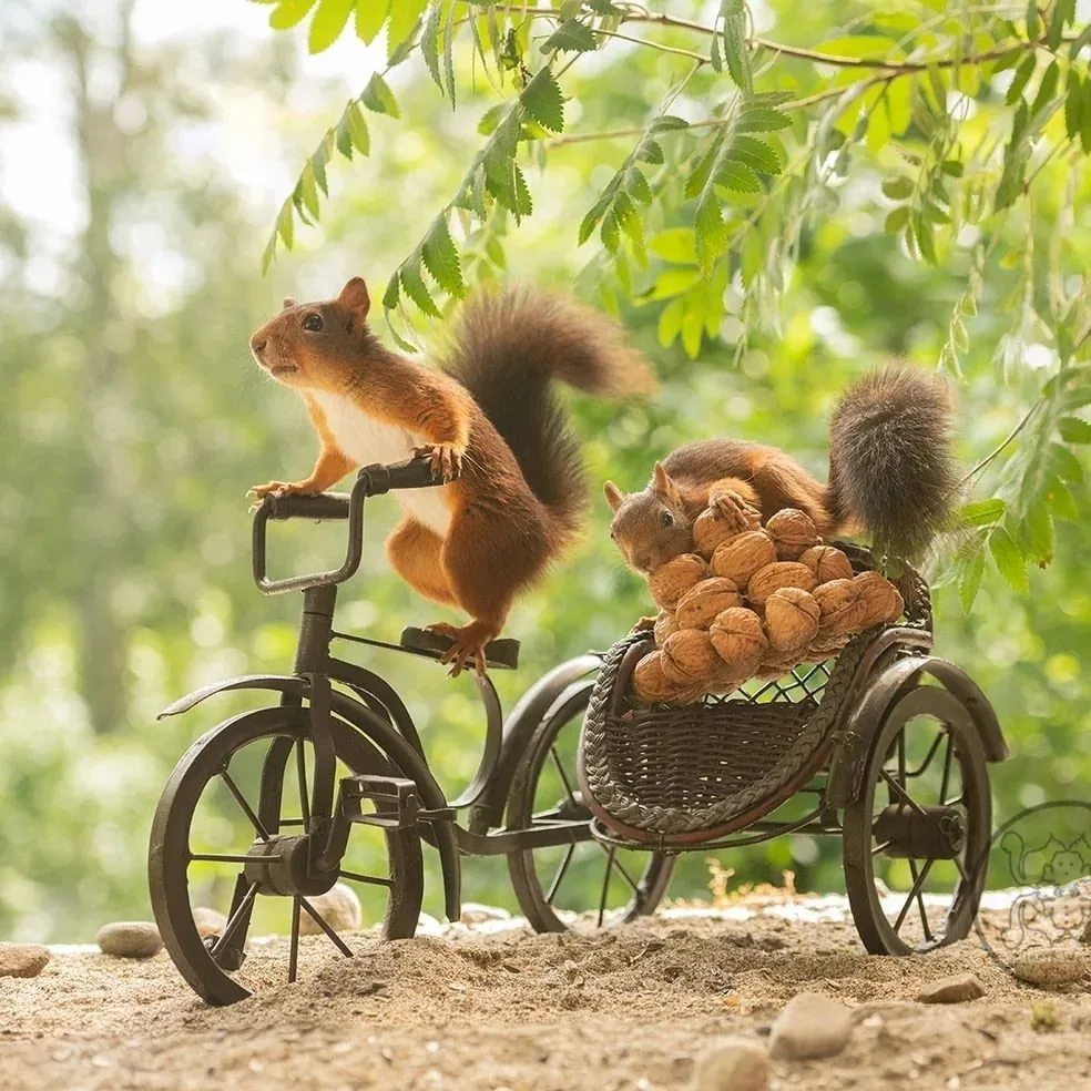 Geert Weggen