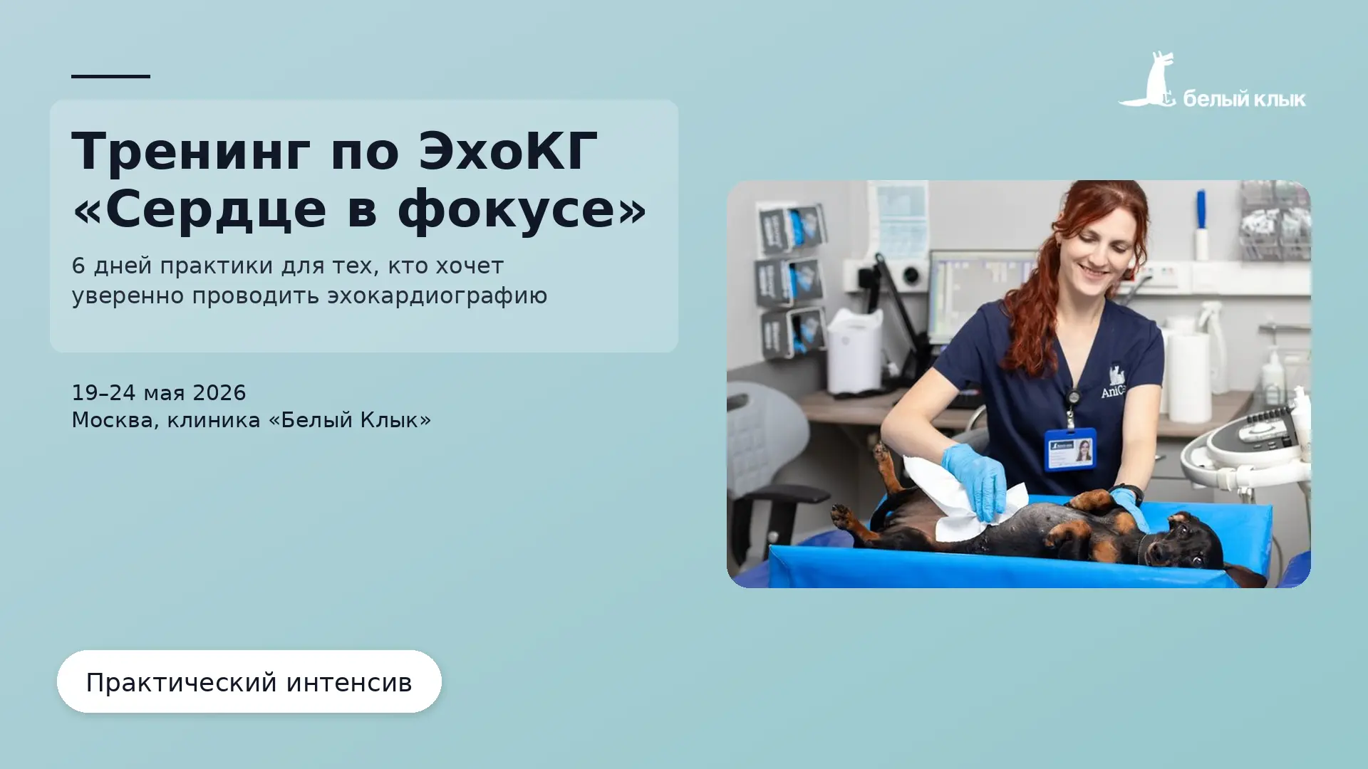 Сердце в фокусе: ЭхоКГ за 6 дней