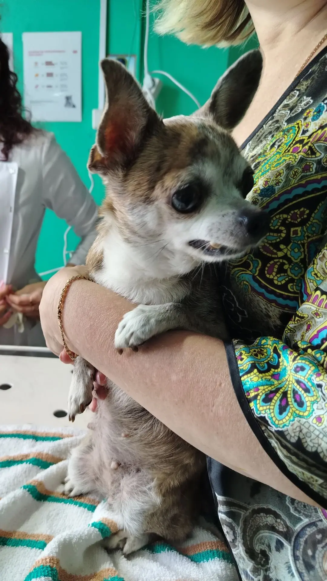 Когда возраст — не помеха для заботы! 🐾