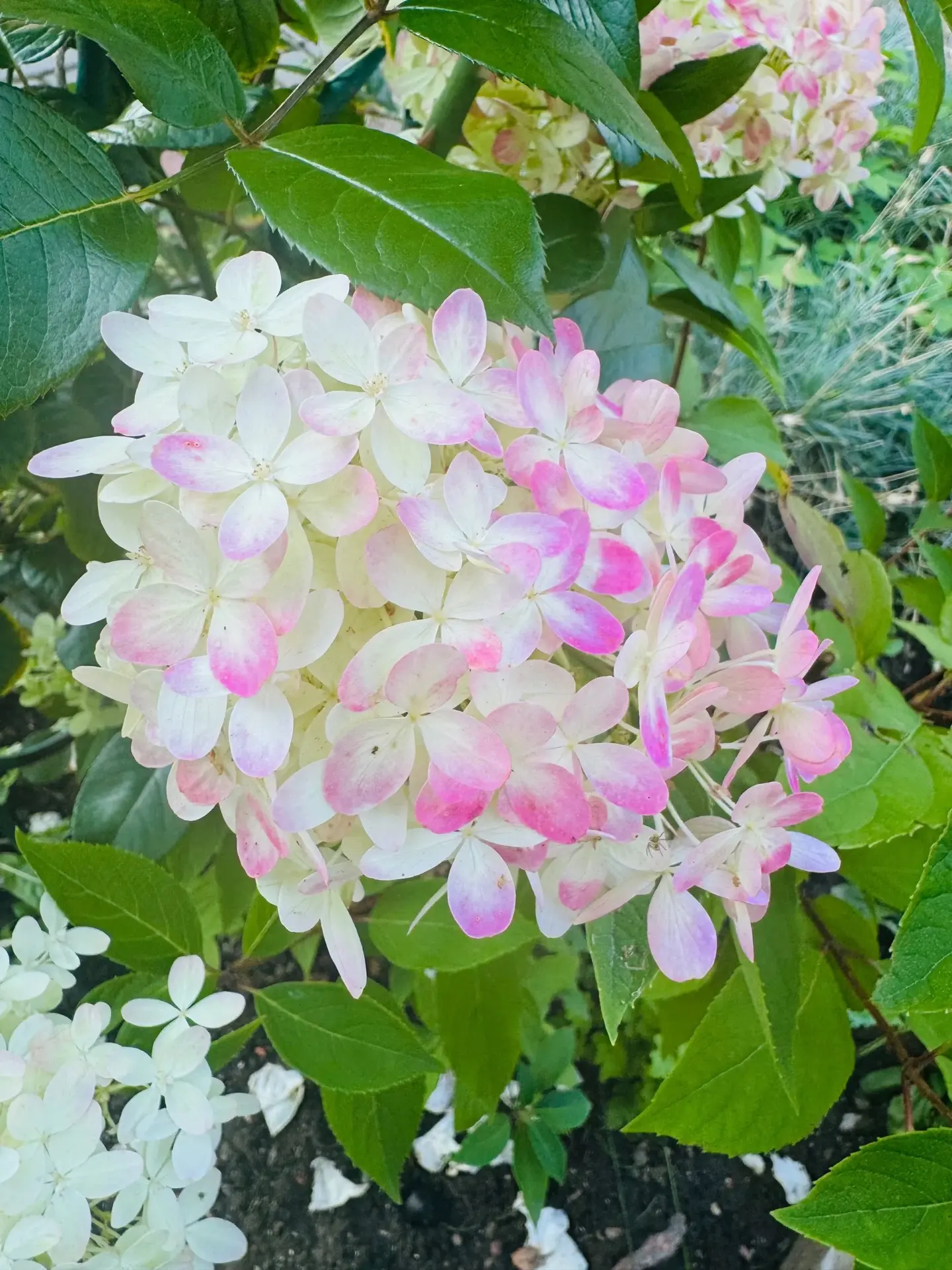 Приятных выходных, ученики, родители и педагоги 54❤️