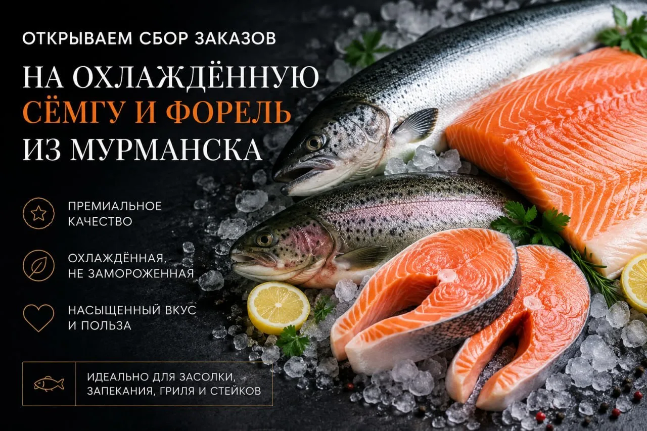 ОТКРЫВАЕМ СБОР ЗАКАЗОВ НА ОХЛАЖДЁННУЮ СЁМГУ И ФОРЕЛЬ ИЗ МУРМАНСКА!
