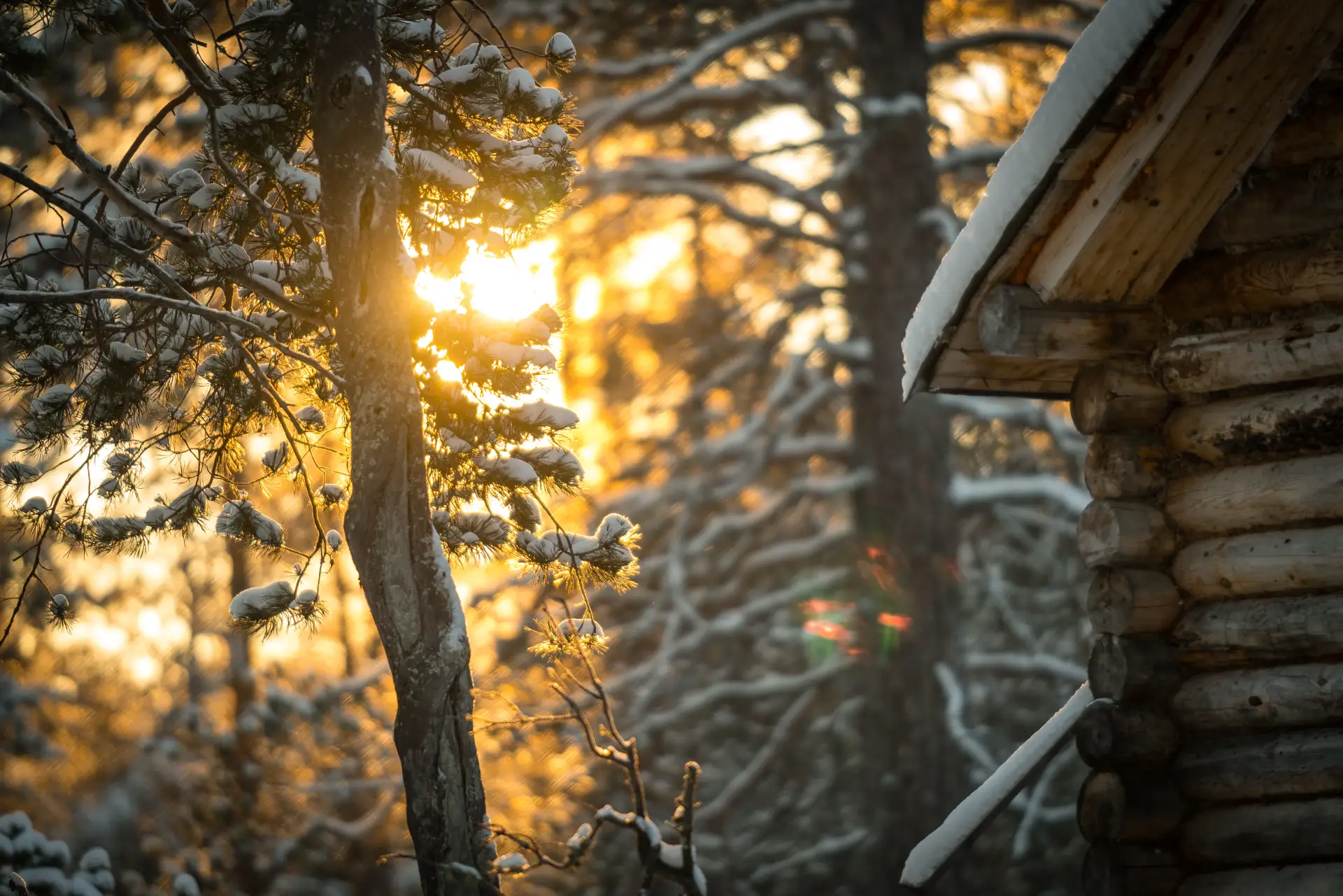 Доброе утро!☀️  Начинается новая апрельская неделя, и в воздухе северного края уже чувствуется весна