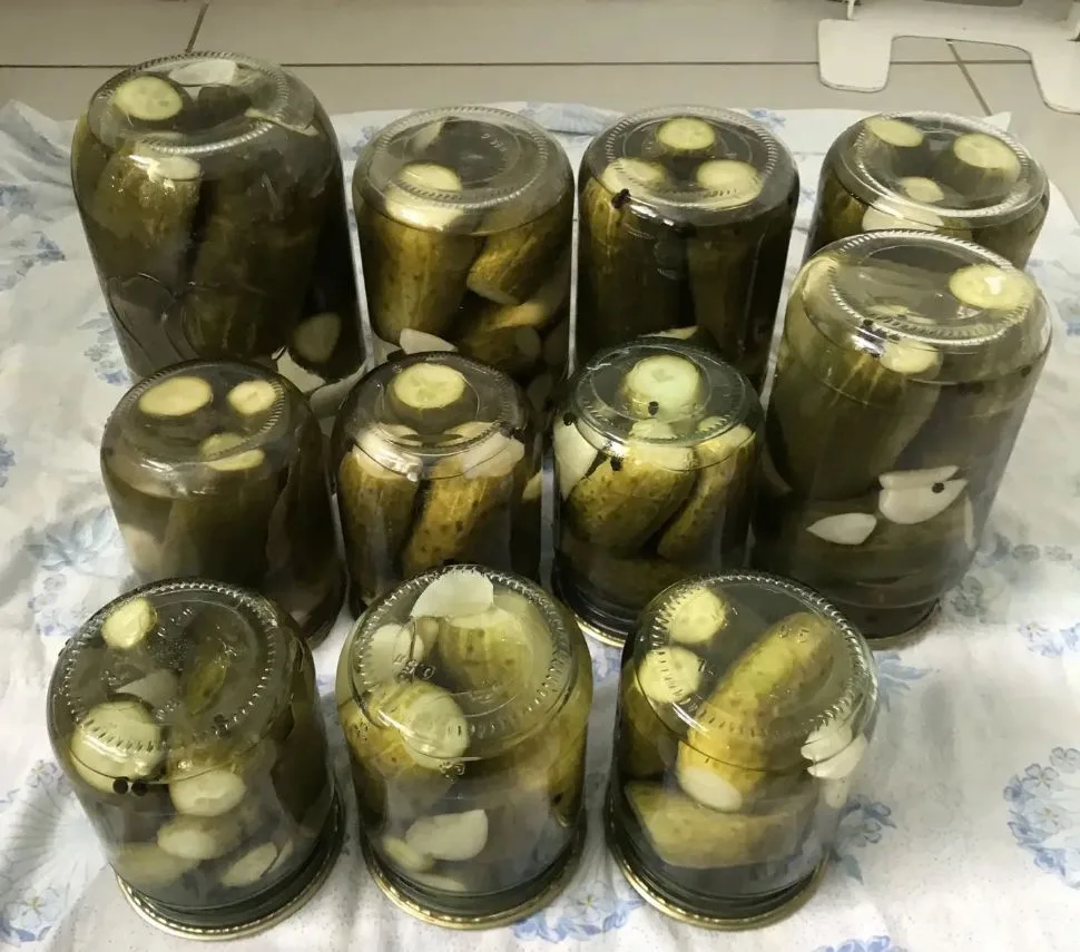 Олы Урсак башлангыч мәктәбендә кышка әзерлек