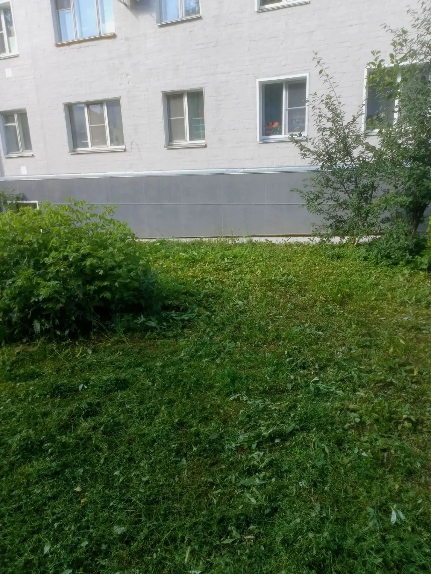 На фото: 🌿 покосили траву на территории дома по адресу: г. Киров, ул. Воровского, 91 А.