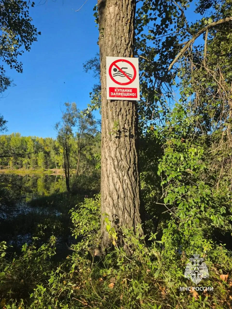 🛟 В Башкирии за день утонули двое мужчин