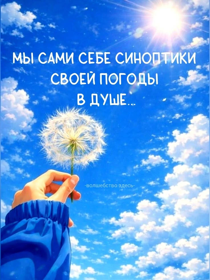 ‼️📩Получено важное сообщение от Вселенной

🔆Доброе утро тебе, прекрасный человек!

🌻Желаю хорошег