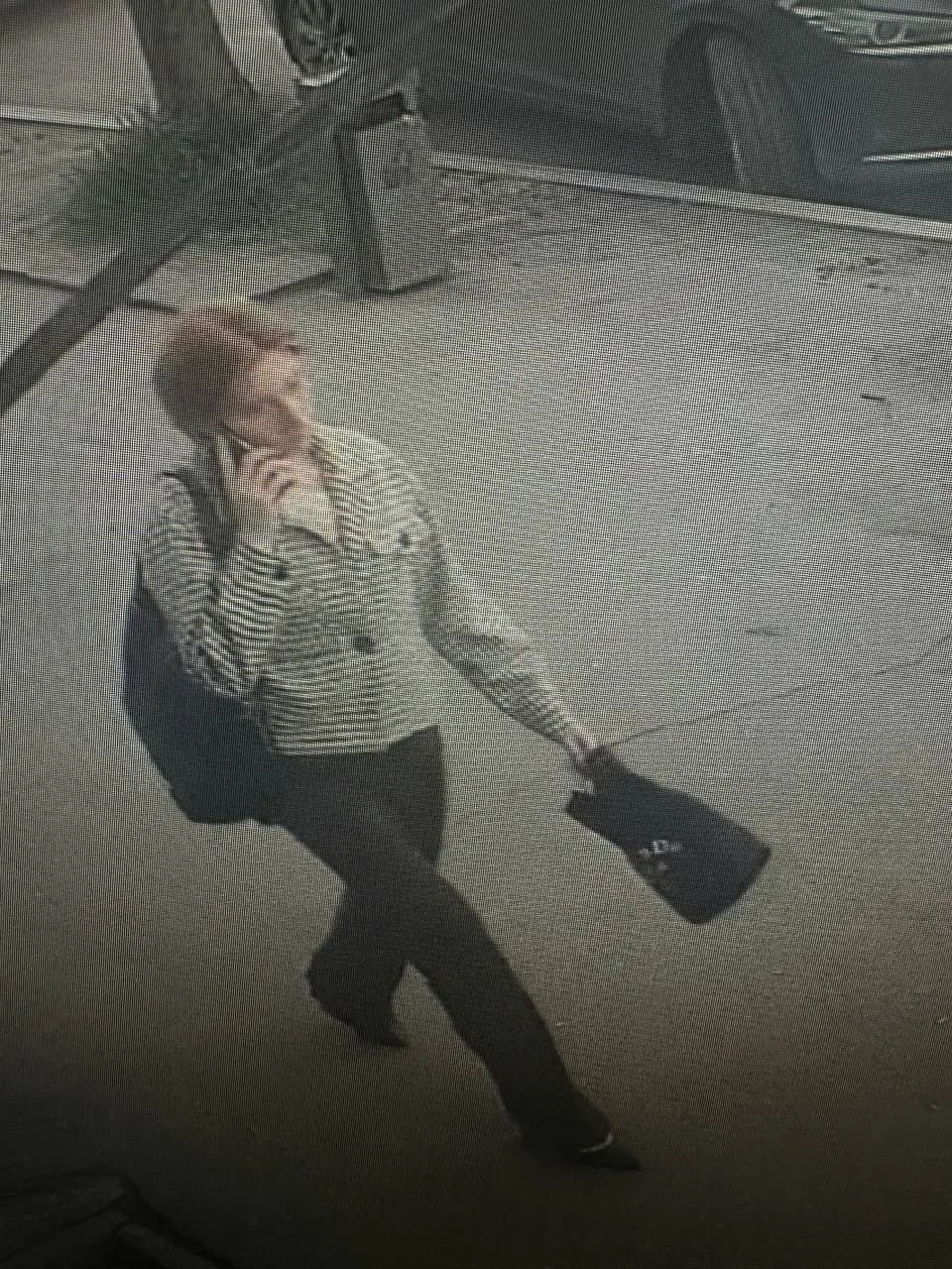 Госавтоинспекция разыскивает девушку запечатленную на видео, чья жизнь и здоровье подверглись опасны