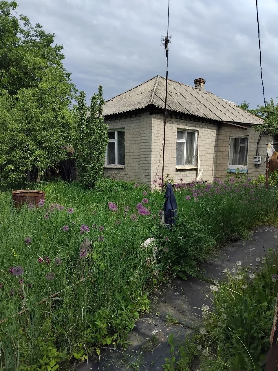 Продаю дом в поселке Ясиновка по улице Вишневая. Земли много. Документы готовы. Вода по...