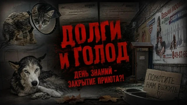 😭🆘 Пока вы собираете детей в школу, наши дети — лысые, трехлапые, парализованные, сле...