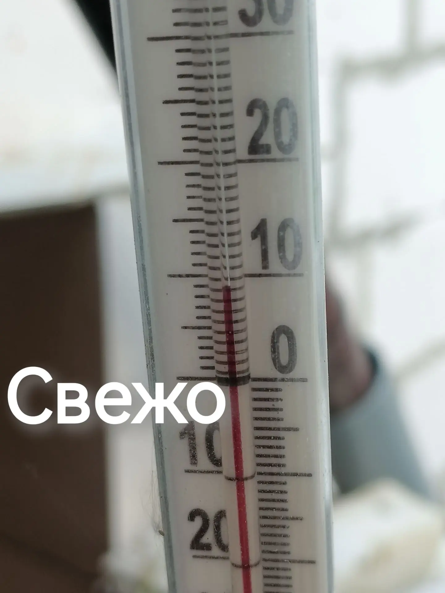 Телеграм https://t.me/chesnokiperez