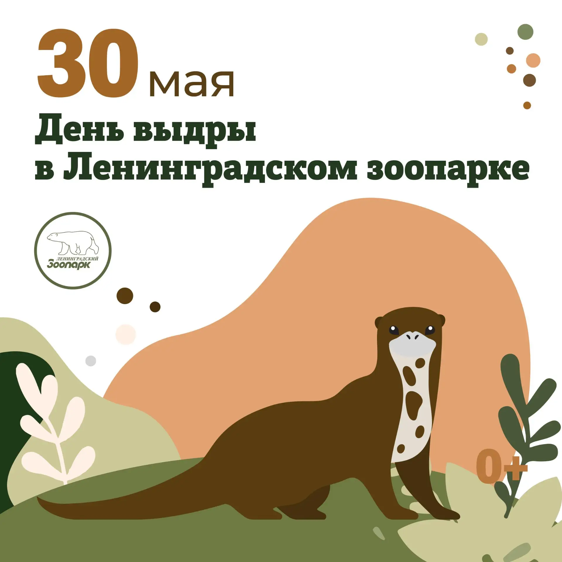 30 мая – День выдры в Ленинградском зоопарке🐟  Ежегодно в последнюю среду мая во всём мире отмечают 