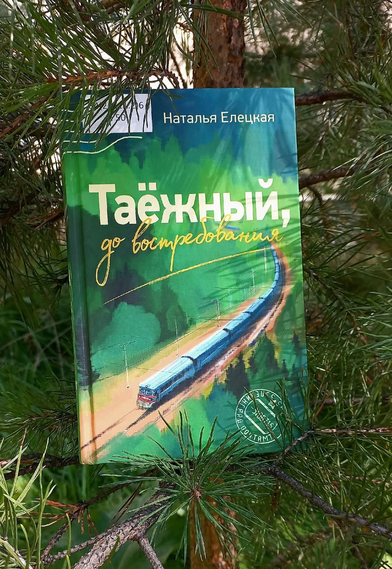 Елецкая Наталья: Таёжный, до востребования.