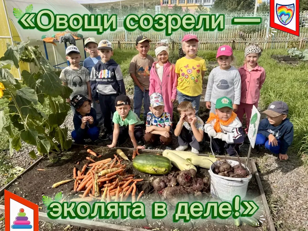 🍂 Лето закончилось… Но сколько всего успели наши🌈 «Эколята‑дошколята»! 🌞