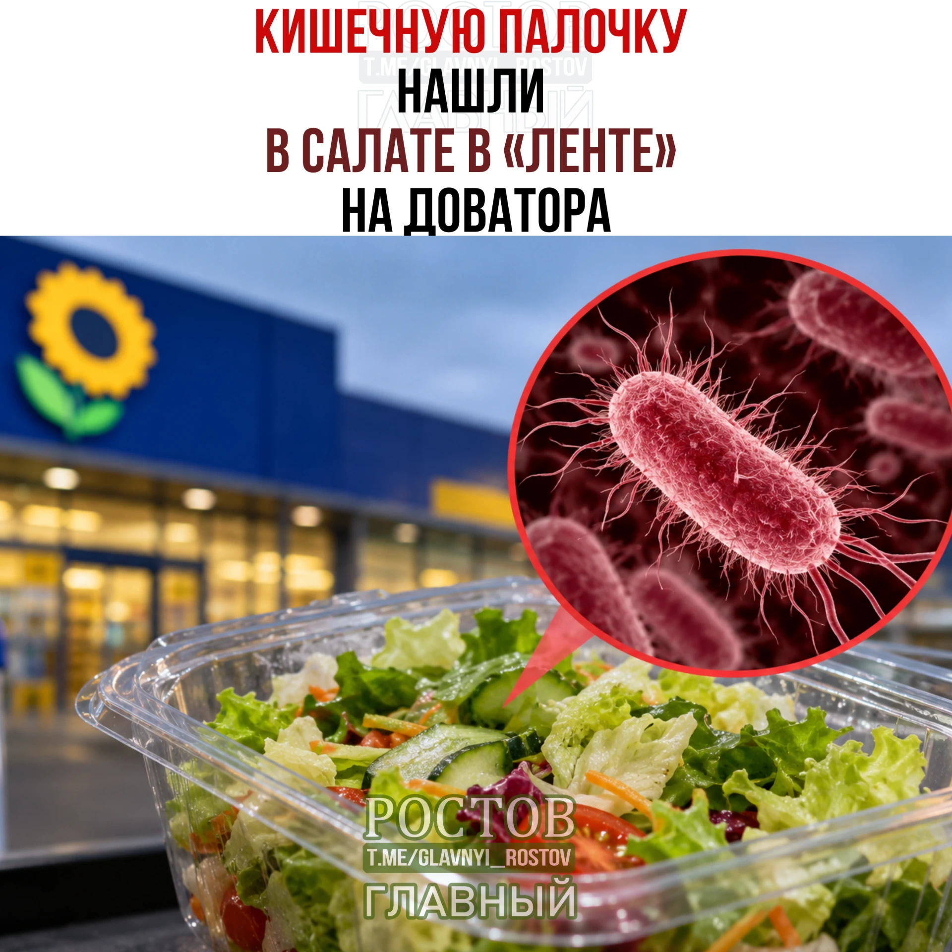 🦠 Кишечную палочку нашли в салате в «Ленте» на Доватора.